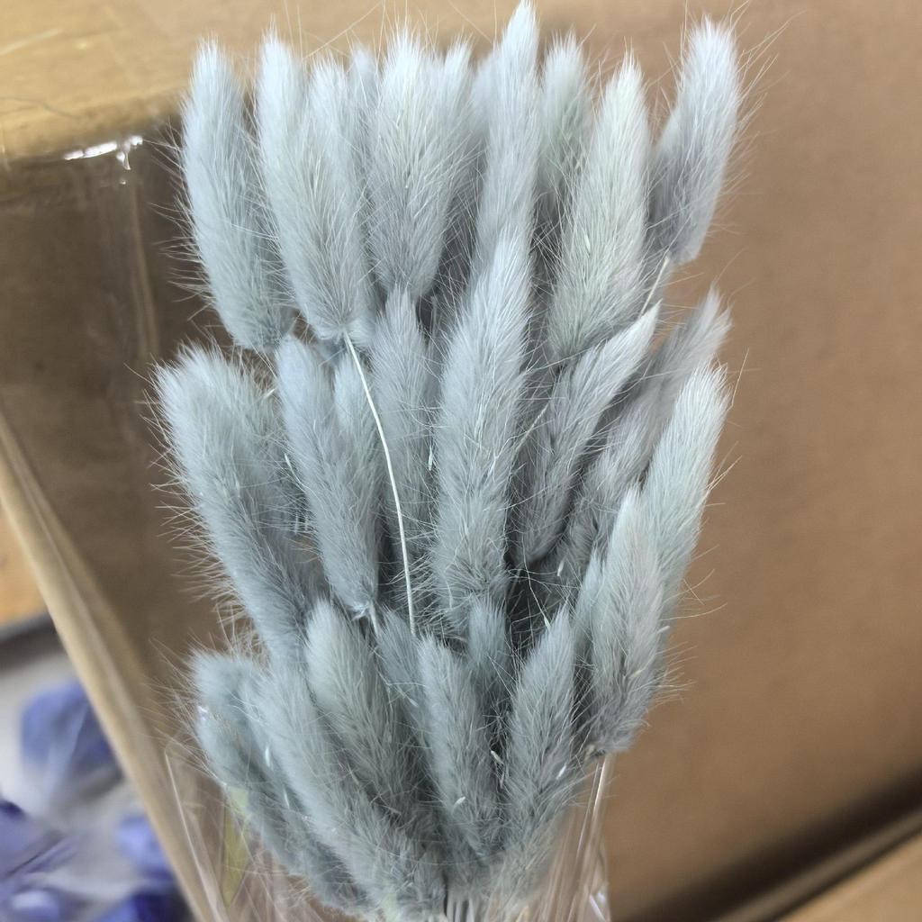 Yunnan Dried Flowers Bouquet - Rabbit Tail Grass