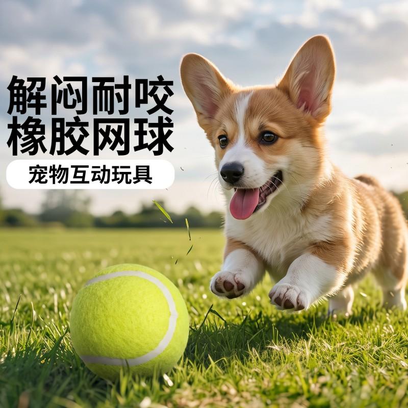 Durable Rubber Tennis Ball Dog Toy Chewing Training Outdoor Play Small To Medium Dogs