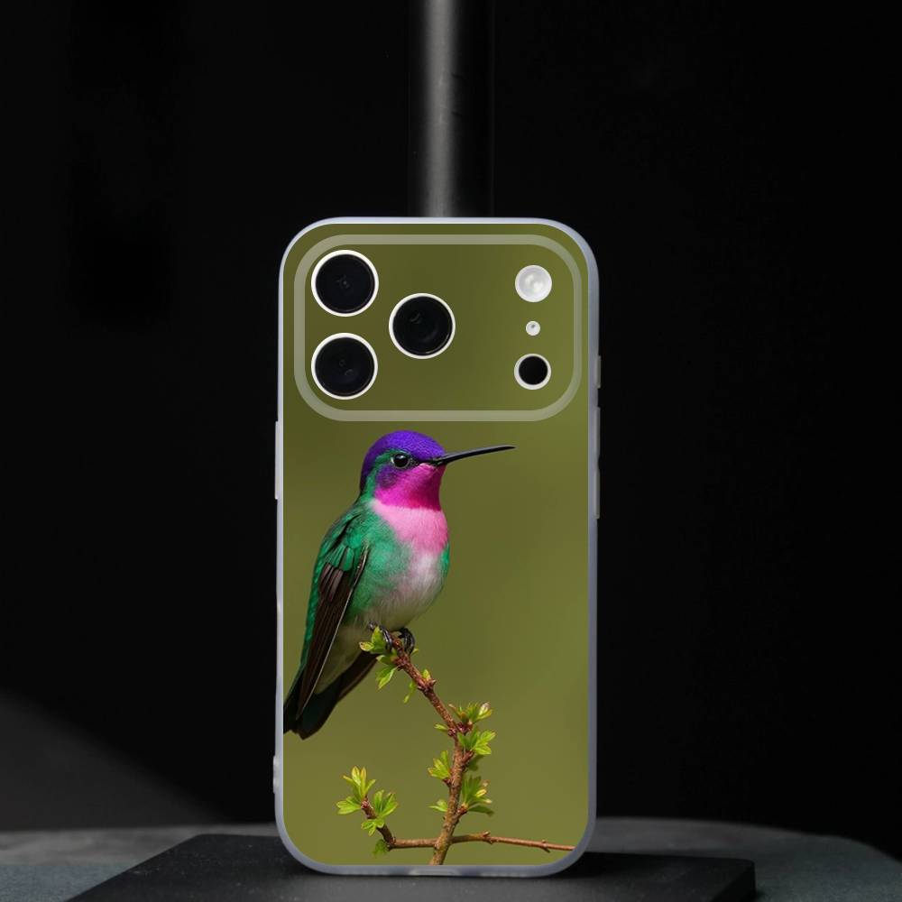 Bird Hummingbird Colorful For iPhone 17,16,15,14,13,12,11,Pro,Max,Plus,Mini,SE4,E Magnetic For Magsafe Wireless Phone Case