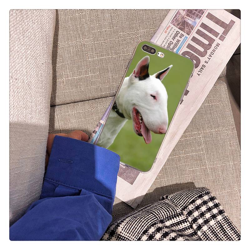 Bullterrier Bull Terrier Dog Phone Case For iPhone 13 X XS MAX 6 6s 7 7plus 8 8Plus 5 5S Se 2020 XR 12 11 Pro Max Fundas Capa