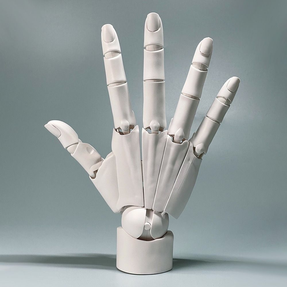 Biomimetic Hand Joint Finger Manikin Hand Articulated Hand For Displaying Hand Model  Kids Gift