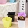 10pcs Flower Pot Succulent Pot Mini Seedling Tray Gardening Small Square Pot  Household