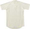 ZETT Baseball Pro Collar Uniform Pullover Ivory O BU517PST Top, Status, Stand-Up Shirt, Style, (3100)