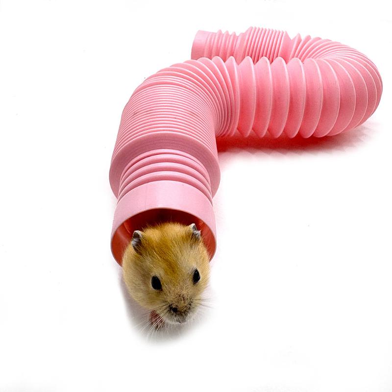 Fun Small Pet Hamster Ferret Rabbit Tunnel Collapsible Telescopic Pipe Training Channel Pipe Stretch Tube Hamster Toy Accessory