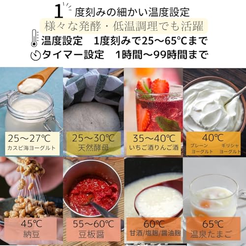 DANKE Fermented Yogurt Maker, Amazake Maker DK-YGM01