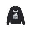 Sweatshirts Men's Black Hooded Moderate Regular H39271