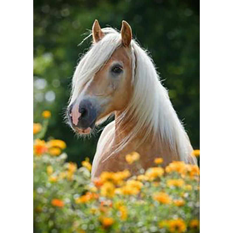 DIY Horse 5d Diamond Painting Full Round Drill Rhinestone Animal Diamond Embroidery Cross Stitch Kits Wall Art Home Decor Gift