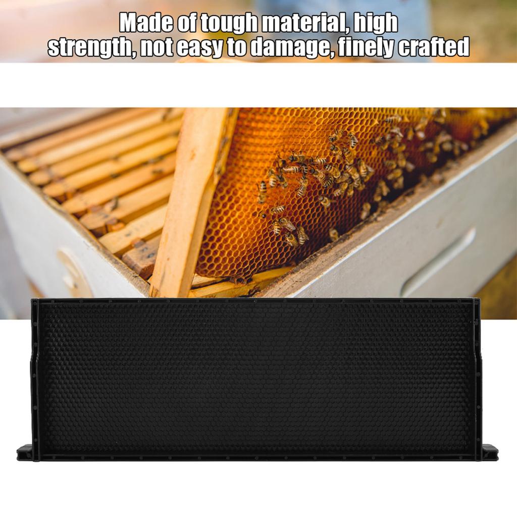 Automatisches Honigbienen-Rahmen-Set, Bestäubungskasten, Bienenkönig-Kasten, 48 x 16 cm