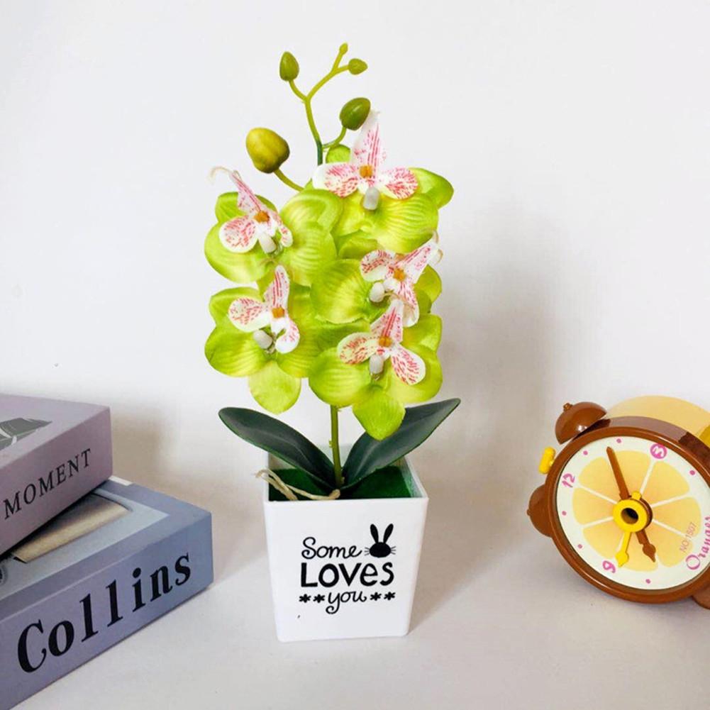 Retro Potted Phalaenopsis Plant Effortless Beauty for Your Living Space