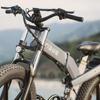 ENGWE X26 1000W Ebike Bezkartáčový motor 48V29.2AH Skladací elektrický bicykel Odpruženie Horský 26*4.0 Tučný plášť Elektrický bicykel