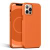 Leather Magnetic Phone Case With Animation IPhone 14 Pro 13 Full Body Protection