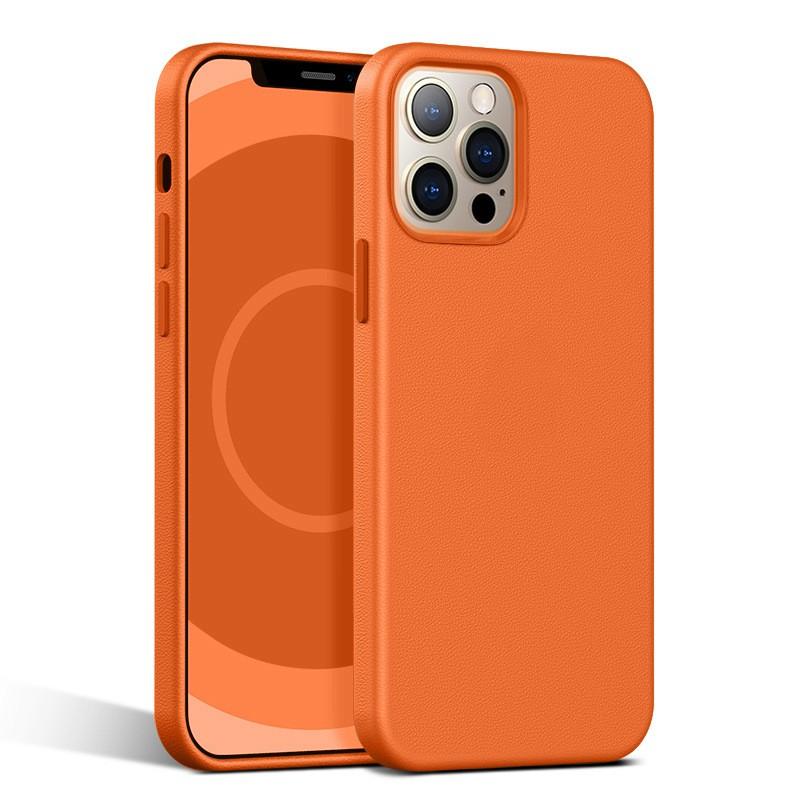 Leather Magnetic Phone Case With Animation IPhone 14 Pro 13 Full Body Protection