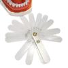 Dental Leaf Gauge High Quality Occlusal Measurement Ruler Tools Autoclavable Numbered 56 Pieces 0.1mm Thickness