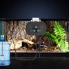 Automatic Reptile Humidifiers with Timer & 360°Adjustable Nozzles Auto Controller Spray Kit System for Terrariums Amphibian