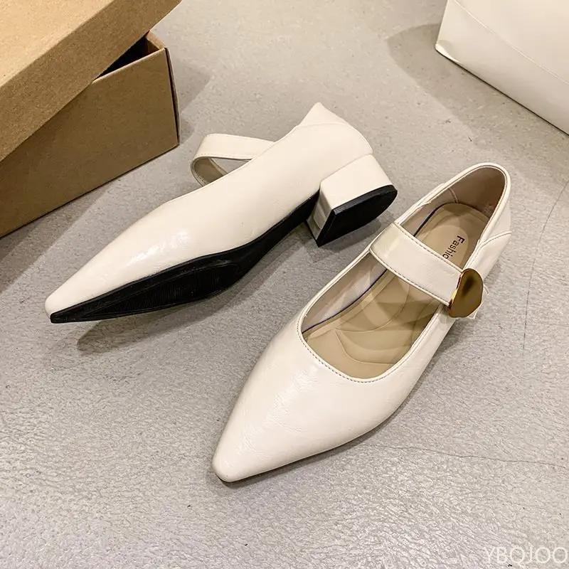 Vintage Pointed Toe Strap Follow-up Shoes for Spring 2025 New French Style Mary Jane Small Leather with Soft Sole Le Fu Shoes