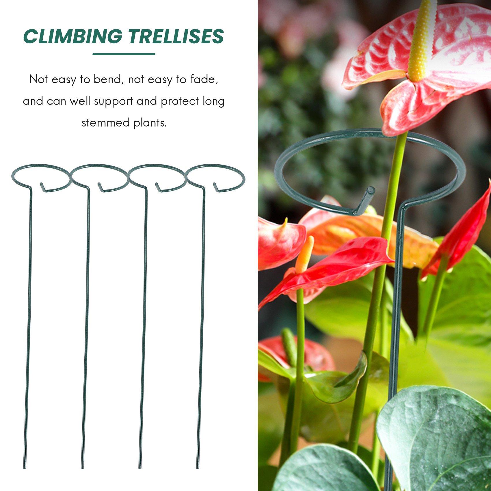 

Good-8PCS Beautiful Plant Support Stand Flowers Support Ring Metal Plant Support Stakes Bonsai Support Backyard Garden Tool зелений