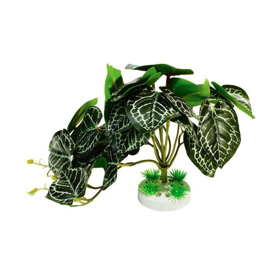 Reptilienbecken Künstliche Pflanzen Dekoration Chamäleon Eidechse Laubfrosch Schildkröte Terrarium Zubehör Tier Sonnenplatz mit Saugnapf