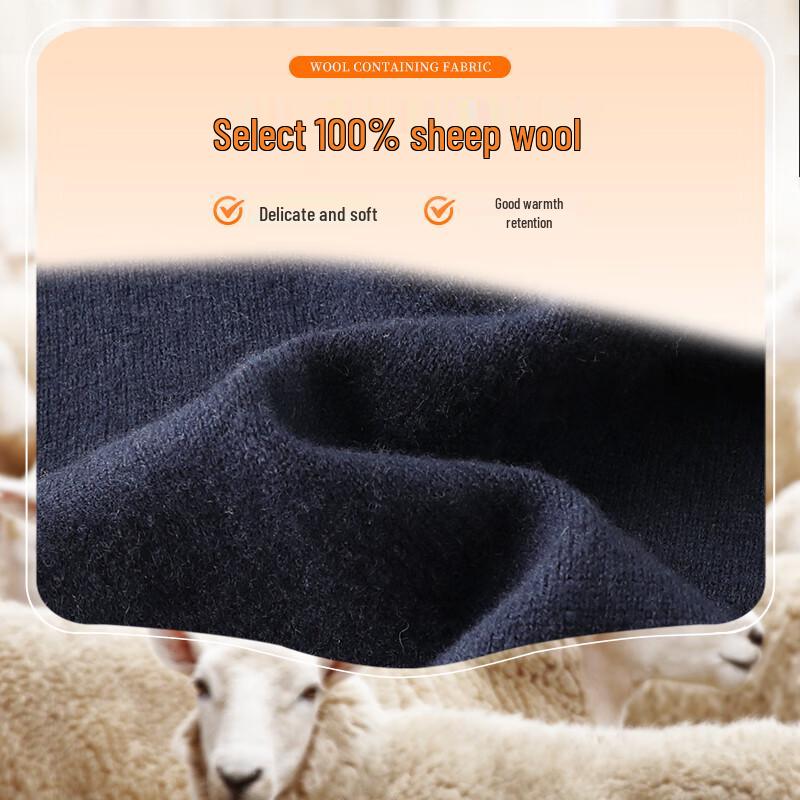 Shanshan Men's 100% Pure Wool Long-Sleeve Pullover Sweater