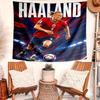 Haaland Tapestry, Wall Hanging Tapestry, Pattern Tapestry for Dorm Bedroom Living Room Wall Art Photography Backdrop