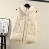 Gilet in cotone da donna taglie forti autunno e inverno moda tendenza gilet giacca con clip per cavallo