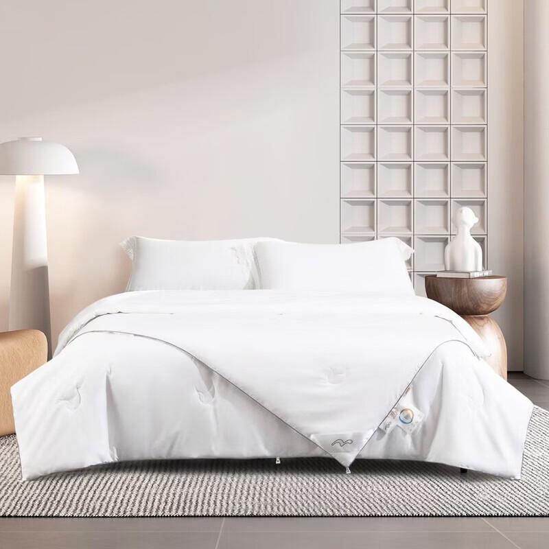 Mercury Home Textiles Mulberry Silk Quilt