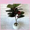 Brasiliensis Artificial Hevea Leaf With Lush Foliage For Photography Decor Prop