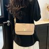 French niche bag women's 2025 autumn and winter new trendy fashion temperament shoulder small square bag retro simple messenger bag