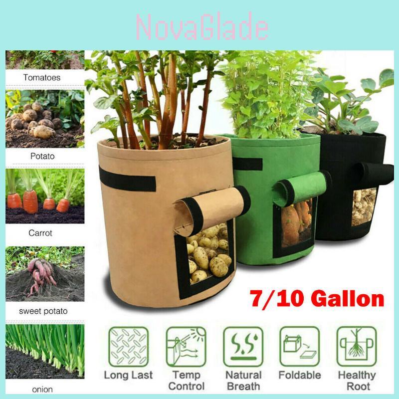 High-quality Felt Fiber And Non-woven Fabric Vegetable Grow Bags With Drainage Holes