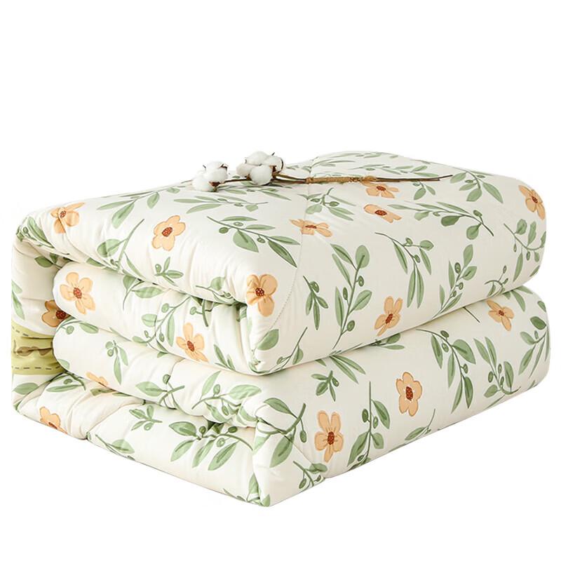 

Ankelai BZ030 Pure Cotton Printed Quilt