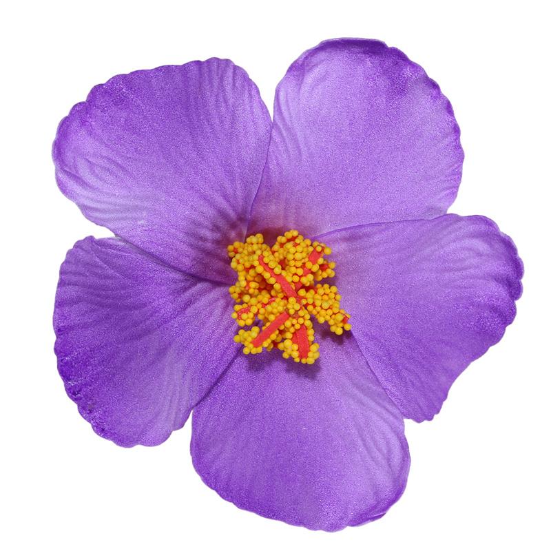 Hawaiian Colorful Flower Hair Clip For Women Girls Romantic Bohemian Flower Side Bangs Clip Bb Hair Clips Hair Accessories