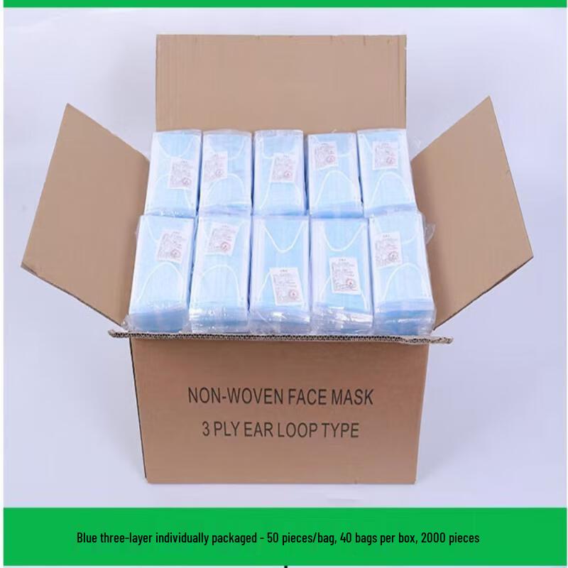Hanyou Disposable 3-Ply Face Mask