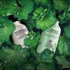 BARON Moringa Refresh Shampoo 1000g