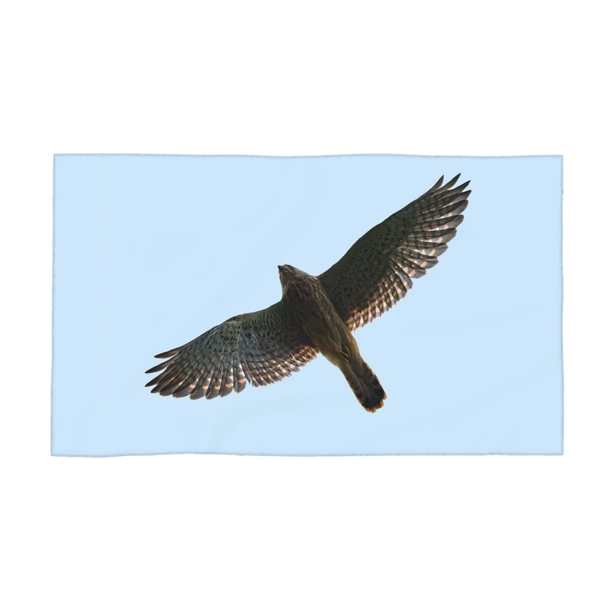 

On the fly. Common kestrel Soft Face Towel Quick Dry Pool Bath Cotton Towels Absorbent W40*H60(CM)