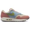 Nike Air Max 1 'Light Madder Root' DV3196-800
