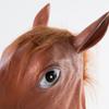 Funny Horse Head Mask Brown Horse Masks for Men Women Simulation Latex Animal Mask Halloween Cosplay Costumes Headgear
