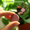 Universal Phosphorus Organic Fertilizer Speed Up Growth Plant Nutrition Tablets Potassium Slow-Release Tablet Flowers