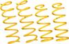 Springs for Toyota Raize and Daihatsu Rocky D-SPORT X-SPEC (48131-B310)