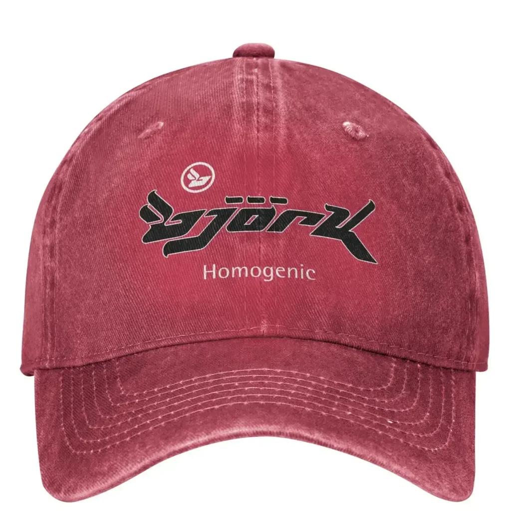 Lässige Björk Homogenic Logo Schwarz Weiß Baseballkappen Unisex Damen Used Denim Snapback Hut Outdoor Laufen Golf