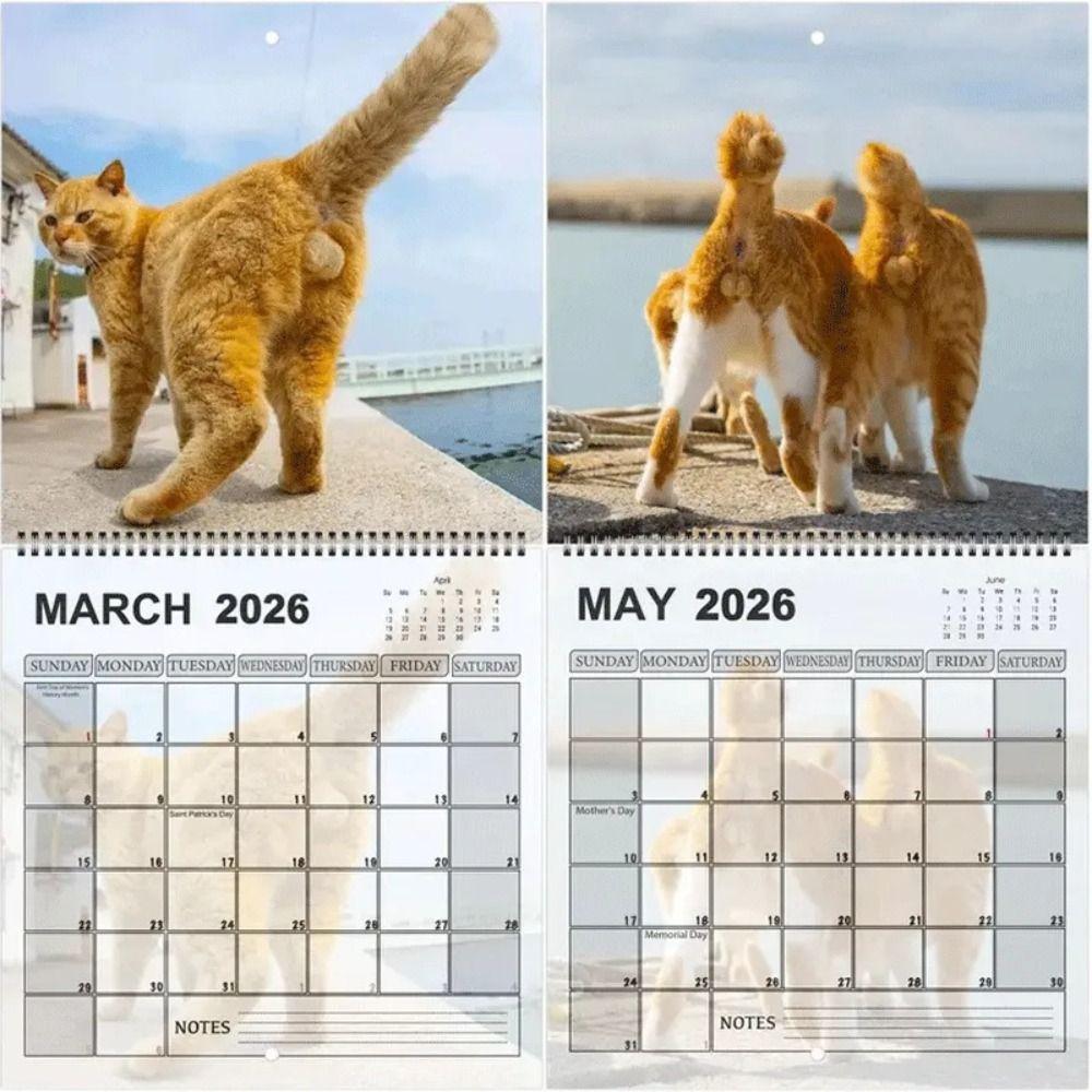 2026 Funny Cat Calendar Gag Gift Family Planner NEW Cat Butt Calendar  Office