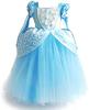 [TYHTYM] Cinderella Dress Kids (Princess Dress + Arm Covers) 2-Piece Set - Cosplay Costume, Fancy Dress, Fluffy Princess Dress, Kids Costume, Perfect