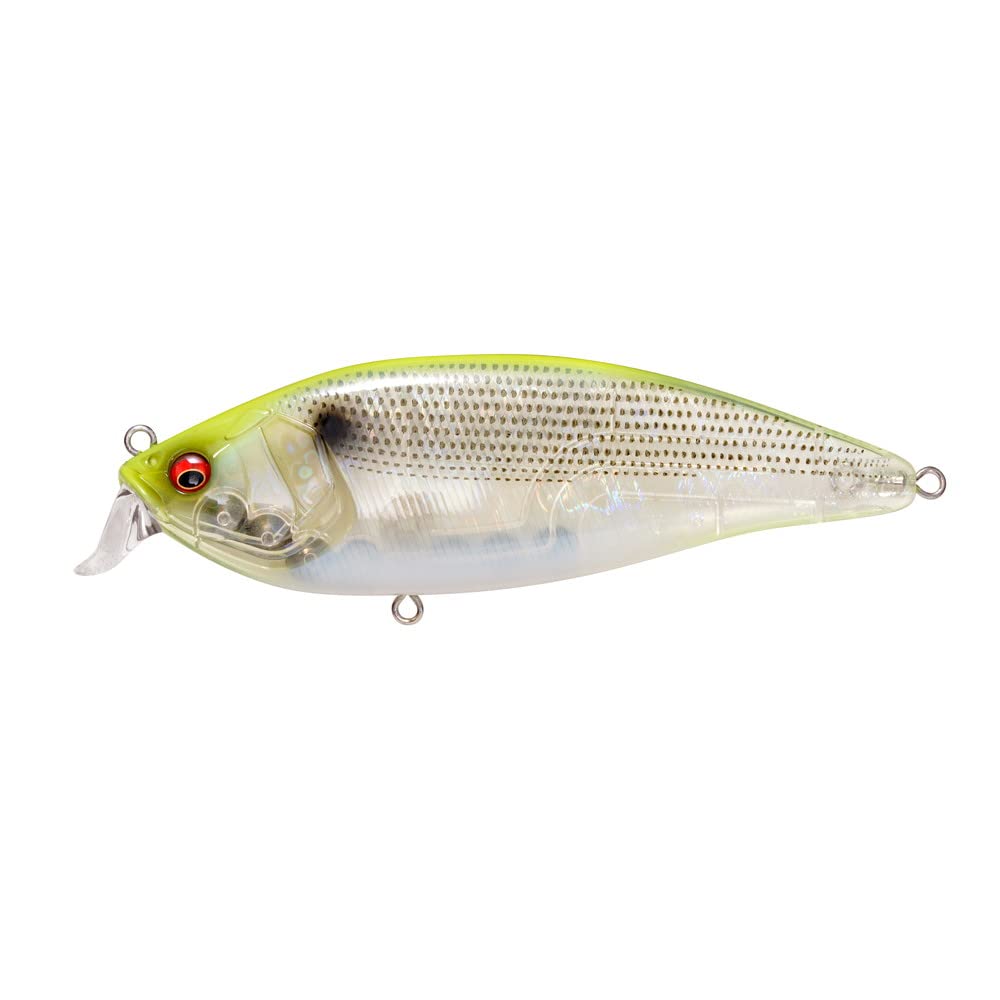 

Megabass KONOSIRUS GP Ghost Chart Konoshiro SHAD(F)