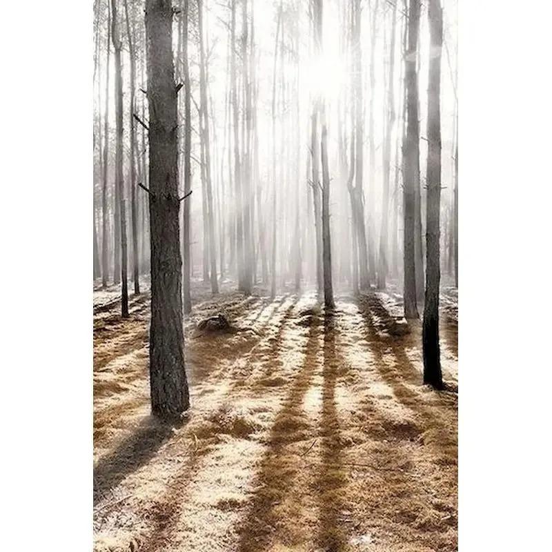 GATYZTORY Oil Picture By Numbers Nature Landscape Drawing Canvas Wall Art Oil  By Numbers Home Decor Gift