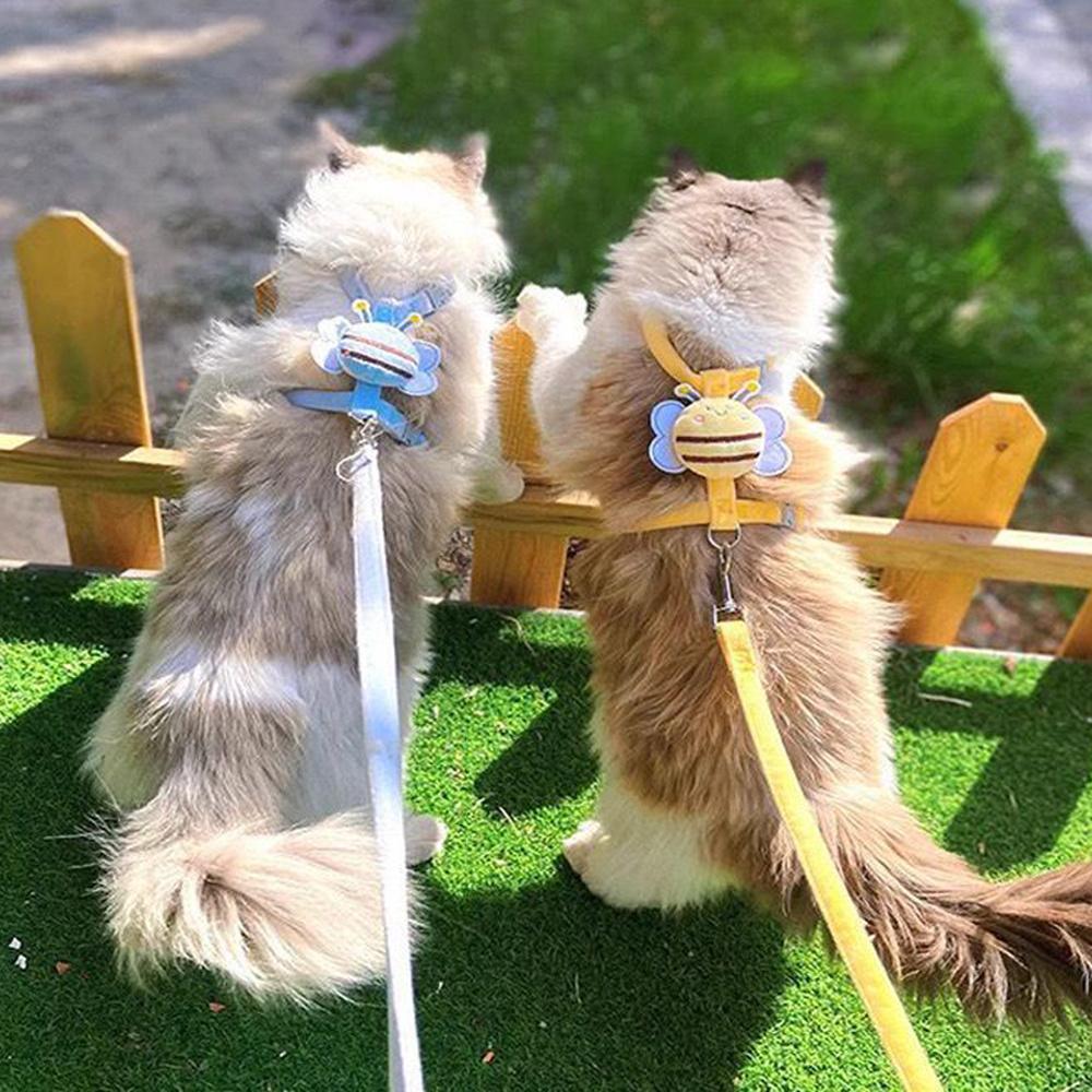 Little Bee Cat Dog Traction Rope Adjustable Double Layer Pet Safety Rope Pet Outdoor Walking Towing Rope Pet Products