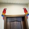 1 Coppia Decorazione Telaio Porta in Legno per Pappagalli Uccello Tropicale Colorato Topper per Porta Angolo Sopra Porta in Legno Arte Murale per Casa Bagno Camera da Letto Ufficio