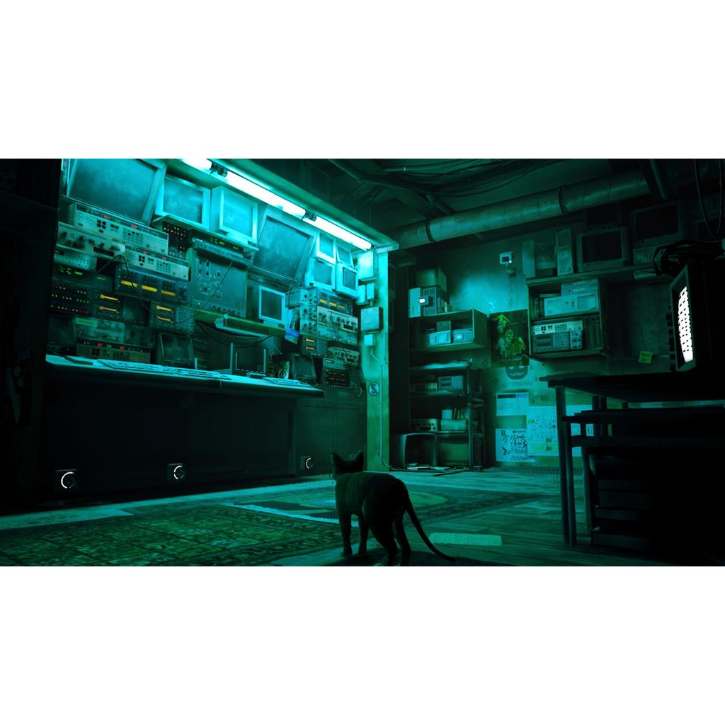 Stray für Nintendo Switch Immersives Abenteuerspiel(Japanische Ausgabe)