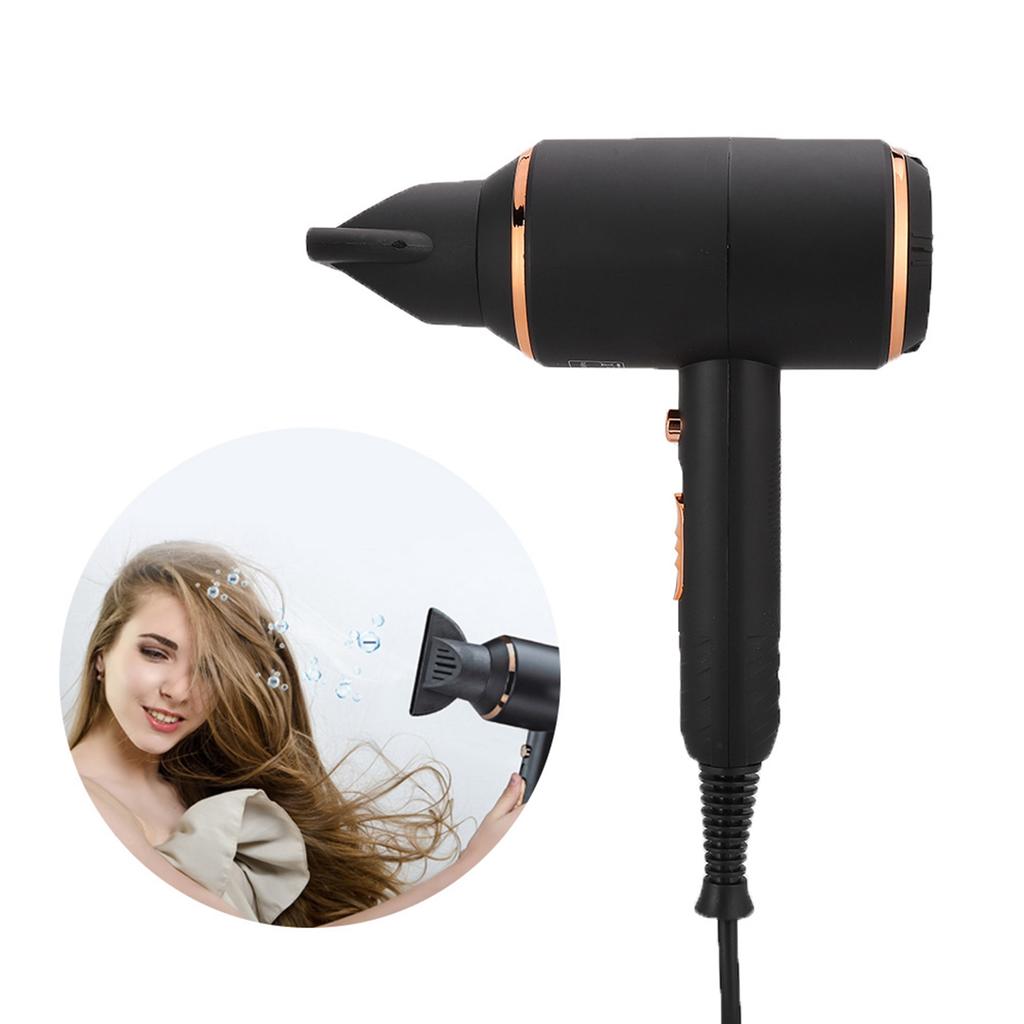 Negative Ion Electric Hair Dryer Strong Power Adjustable Blow Dryer
