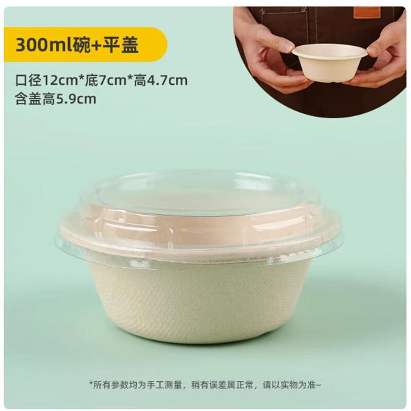 

Shengbilai Disposable Ice Cream & Dessert Cups