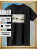 Top – T-shirts