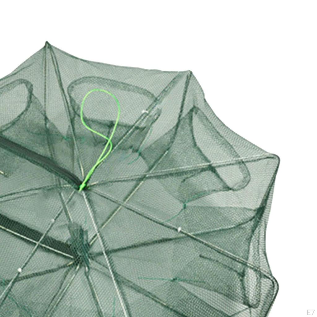 Collapsible Plastic Portable Automatic Net for Lobster Pots Line Kit Fish Fishing Lovers