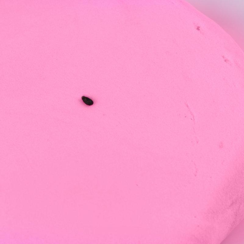 500g Super Leichter Weltraumknete-Set für DIY-Bastelarbeiten - Enthält Werkzeuge & farbige Knete für Kinder